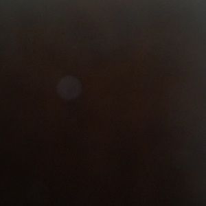 Meet your Posher, Caleb